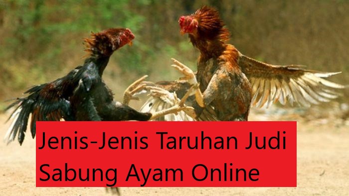 Jenis-Jenis Taruhan Judi Sabung Ayam Online